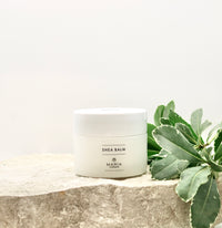 Shea Balm